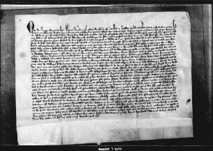 Der Generalvikar von Konstanz bestätigt die Seelgerätstiftung der Witwe Hadwig (WR 12 158).