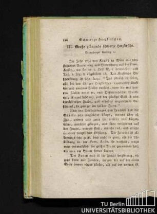 III. Große glänzende schwarze Herzkirsche.