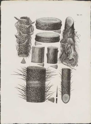 Tab. 100.