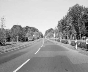 Kesselstädter Allee (Allee); Hanau, Kesselstädter Straße, Von Wachenbuchen nach Mittelbuchen (Lio), Von Wachenbuchen nach Hanau (Wilhelmsbader Allee), L 3008, Kesselstädter Straße (L 3008)