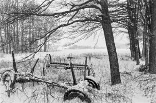 Barnitz/Elbe, Wendland, Deutschland, 1994