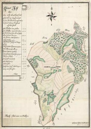 Grund-Riß über das Orth als Athorf und Hornberg, ein Gemeinde in der Rickenbacher Einung