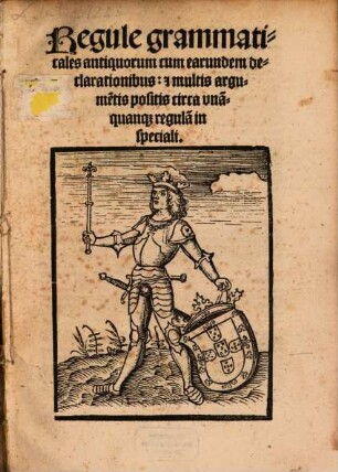Regulae grammaticales antiquorum cum earundem declarationibus ac argumentis