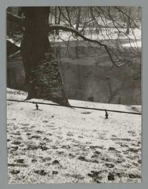 Teichanlage im Winter, Am Wall, Bremen