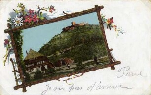 Postkartensammlung Weis mit Ansichten Karlsruhes. Stadtgarten