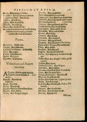 Volatilium, vel Avium nomina.