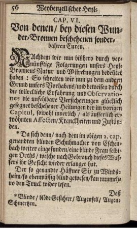 Cap. VI. [i.e. IV.] Von denen/ bey diesen Wunder-Bronnen beschehenen sonderbahren Curen