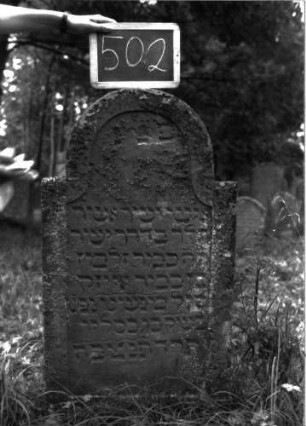 Grabstein 502 (Index: 100102622) Material: Sandstein Zustand: bewachsen, gut erhalten, am Rand angewittert Maße HxBxT: 110x57x8 cm Beschreibung: Stele, eingezogener Rundbogenabschluss, Schriftfeld eingetieft mit Konvexbogenabschluss: Grabstein 502