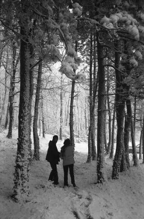 Später Wintereinbruch mit Schneefall