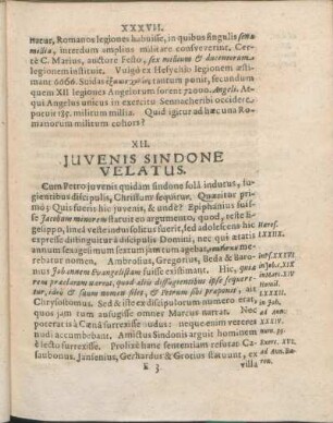 XII. Juvenis Sindone Velatus.