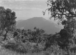 Berglandschaft : Blick über eine bergige Landschaft