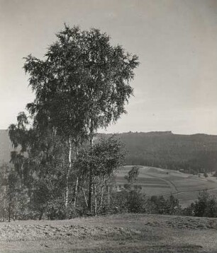 Vogtland. Blick von Erlbach östlich Markneukirchen (Häuser im Mittelgrund) zum Hohen Stein (Böhmen)