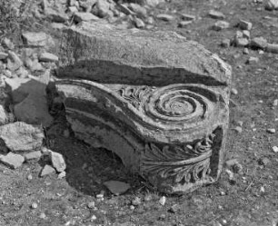 Volute