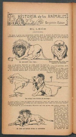 El león - (Continuación) : Historia de los animales
