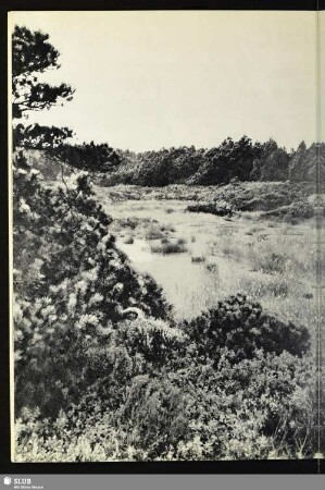 9 Georgenfelder Hochmoor
