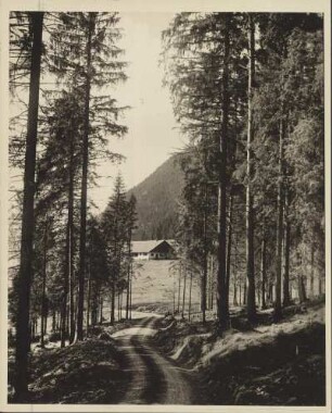 Franken. Fichtelgebirge bei Bischofsgrün