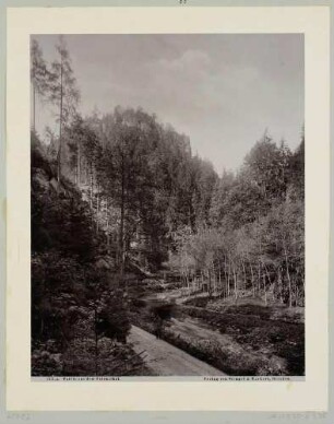 Landschaft im Polenztal bei Hohnstein in der Sächsischen Schweiz, Blatt aus einer Serie