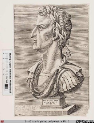 Bildnis ROM: Nerva, 12. römischer Kaiser 96-98 (eig. Marcus Cocceius Nerva)