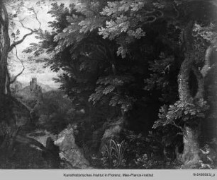 Landschaft mit Entenjäger