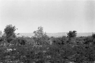 Landschaft : Landschaft und Vegetation.