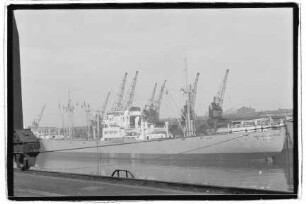 Herta Engeline Fritzen (1952), Fritzen Schiffsagentur, Emden