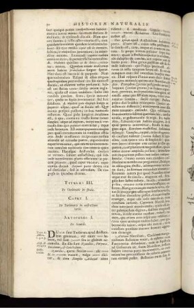 Titulus III. De Turbinatis in specie
