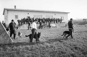 Einweihung des neuen Vereinsheims des Polizeihunde-Clubs Knielingen.