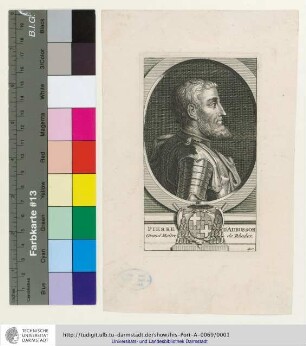 Pierre D'Aubusson Grand Maitre de Rhodes / D. C.