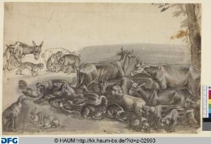 Eine Schar von Schafen, Ziegen, Kühen, Katzen, Enten und Gänsen, Hasen, Hunden und Eseln
