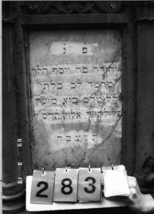 Grabstein 283 (Index: 100093349) Maße HxBxT: 237x72x45 cm Symbolik: Wappenschild mit Verzierungen, reich verziert: Grabstein 283A