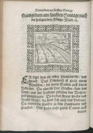 Euangelium am fünfften Sontage nach der heiligen drey Könige/ Matth. 13.