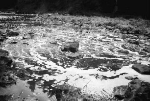 Stallegg: Wutach Niedrigwasser mit Schlamm