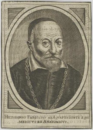 Bildnis des Hieronymus Fabricivs ab Aqvapendente