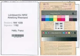 Entnazifizierung Franz Hally , geb. 07.06.1905 (Fahrer)