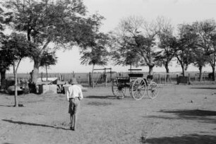 Farm mit Jungen und Fuhrwerk : Blick auf eine Farm mit einem Jungen und einem Fuhrwerk