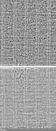 Löwe (steigend) mit Schwert / ES = Bd.1, S.35/36 +37/38