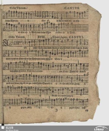 XVIII. Ist nicht Ephraim