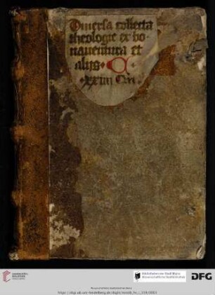 Excerpta et collectanea theologica