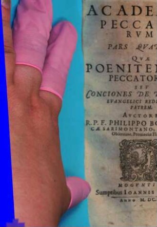 Academia Peccatorvm, Seu Conciones De Tota Parabola Prodigi Euangelici : Ad Lvdovicvm XIII. Franciae Et Navarrae Regem Christianissimum, 4. Quae Poenitentia Peccatorum Seu Conciones De Prodigi Evangelici Reditu Ad Patrem