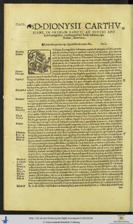 D. Dionysii In Primam Sancti Ac Divini Iohannis epistolam Enarratio