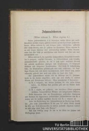Johannisbeeren. (Ribes rubrum L. Ribes nigrum L.)