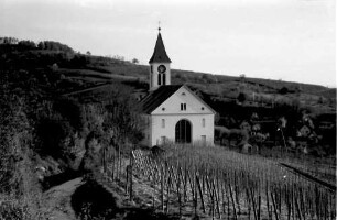 Auggen: Kirche, Rückansicht vom Weinberg