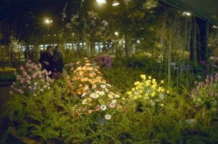 Freiburg: Stadthalle, Blumen- und Gartenausstellung, Blumenarrangements in der Stadthalle