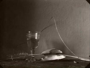stilleben. gras, glas & muschel