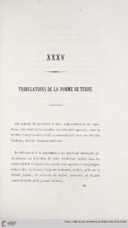 XXXV Tribulations de la pomme de terre
