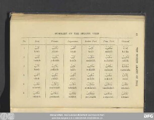 Summary Of The Strong Verb