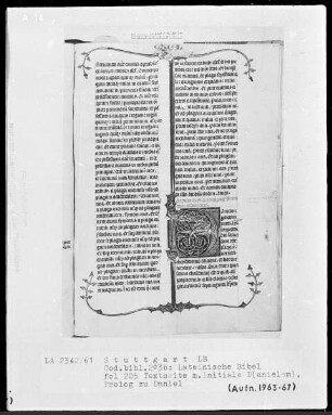 Lateinische Bibel, drei Bände — Initiale D (anielem), Folio 205recto