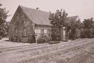 Weinböhla, Spargel-Plantage
