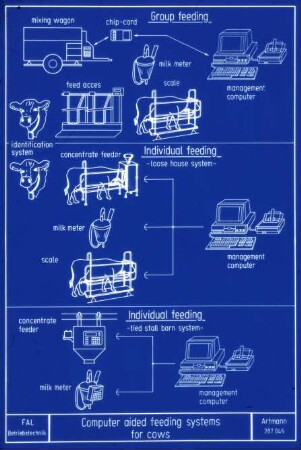 Computer aided feeding systems for cows