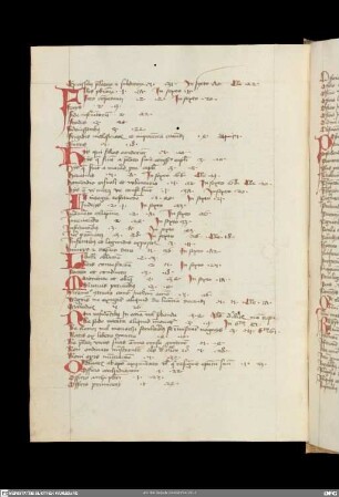 Compendium iuris - Gerhardus de Rivo sanctae Mariae - Casus breves